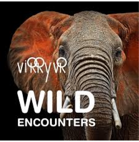 Vr Virry: Wild Encounters